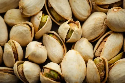 تصویر 1 از قیمت خرید پسته اکبری صادراتی + فروش ویژه